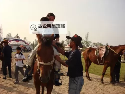 开心四播房五月:温馨时光里的欢声笑语图2