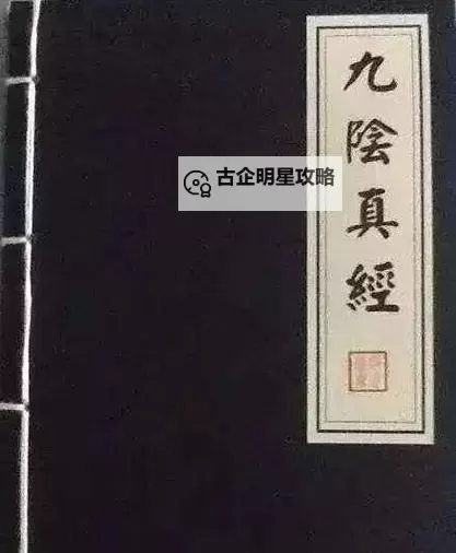 九阴真经古谱武学大全:揭示武林秘传的瑰宝宝典图1