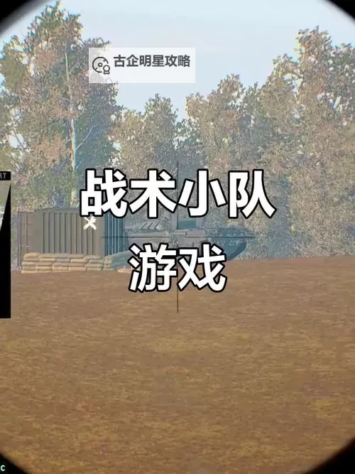 探索策略与团队合作:深入解析战术小队游戏玩法图1