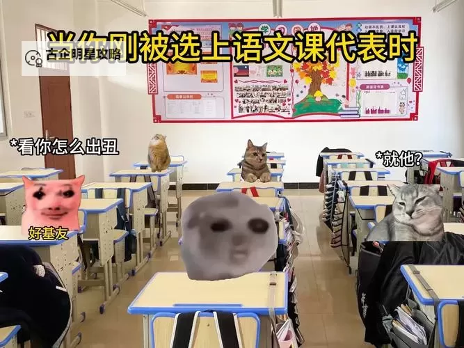 在班里插了语文课代表视频引发学生热议图1