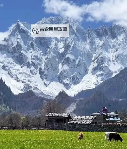 揭秘4条炼金龙魂效果：提升你战斗力的终极秘籍图2