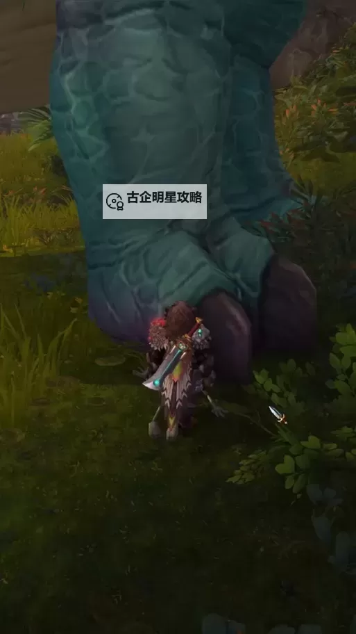 《魔兽世界雷龙绝版了吗？最新消息解析》图2