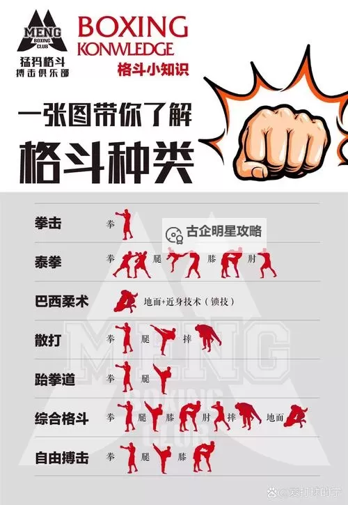 格斗家刷图转什么职业好:最优选择指南解析图2