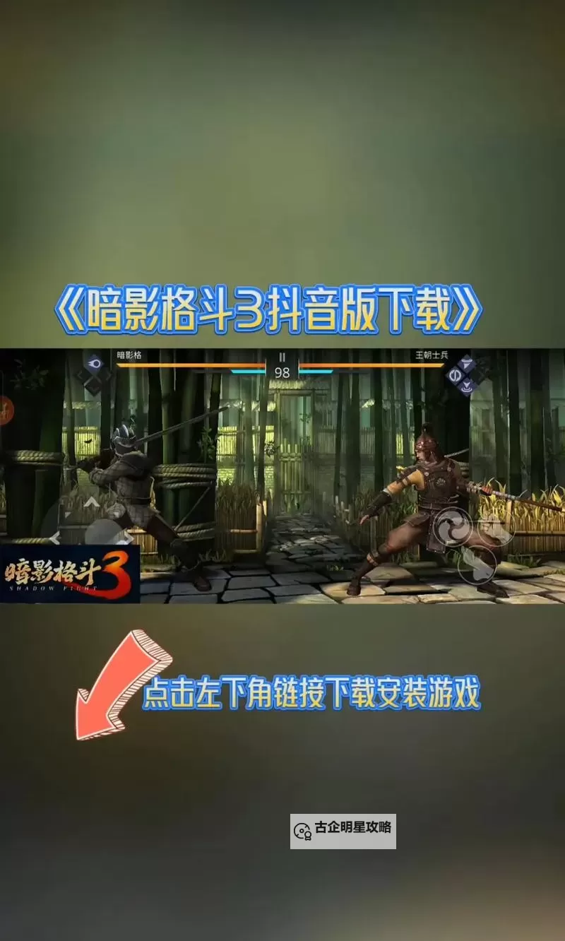 类似暗影格斗的游戏推荐：动作格斗的极致体验图1