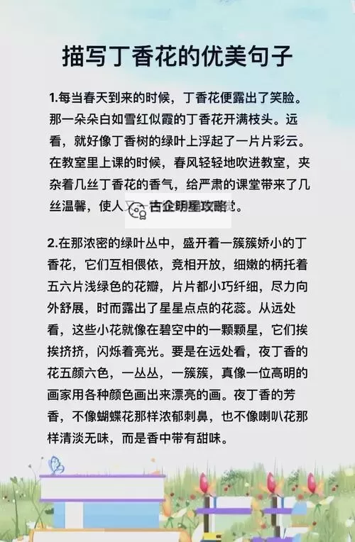 六月开心婷婷丁香：夏日里的芳香童趣图1