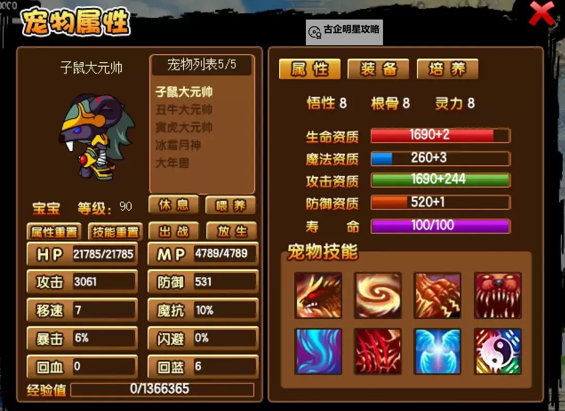 深入解析造梦西游3宠物装备强化机制与提升策略图1