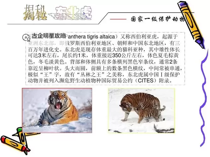 最新LASTDAYONEARTH动物大发现：拯救濒临灭绝的物种行动全面展开图1