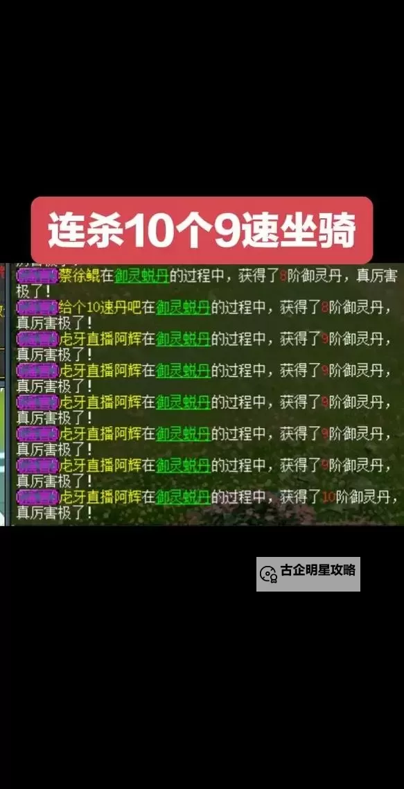 问道6阶坐骑融合6加1详解:提升战力的最佳秘籍图1