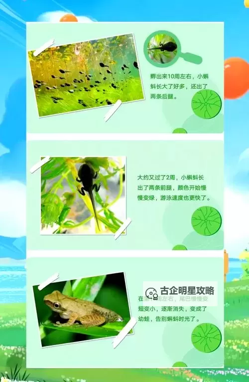 探秘“91蝌蚪91”与“九色白浆”背后的秘密世界图1