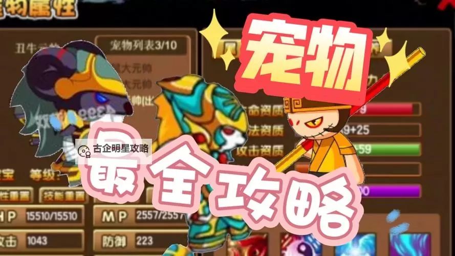 造梦西游3在哪获得宠物:宠物获取攻略全攻略图2