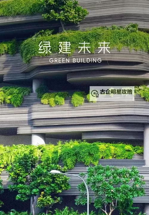 中国VODAFONE喷浆技术引领绿色建筑新潮流图1