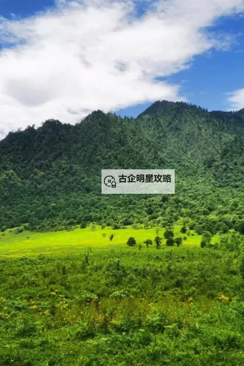 「网站你懂我意思W w免费——让你轻松领略全新免费内容体验」图1