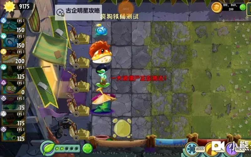 英雄联盟三大疯狗是谁?详细揭秘这三位“狂人”的真实身份图1