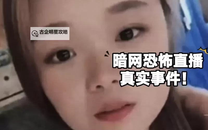 揭秘中国恐怖网的真面目:阴暗背后的网络迷局图2