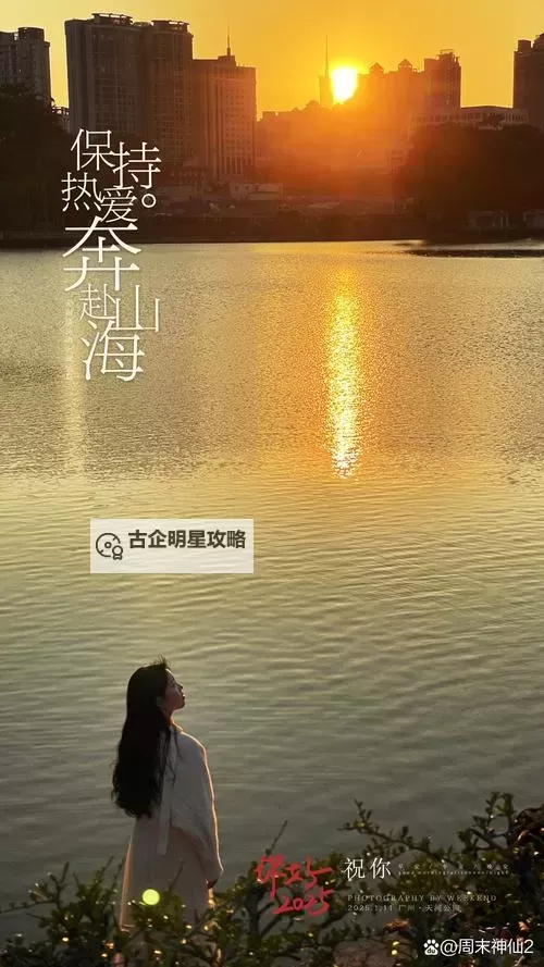 亚洲爱：跨越山海的温情之旅图1