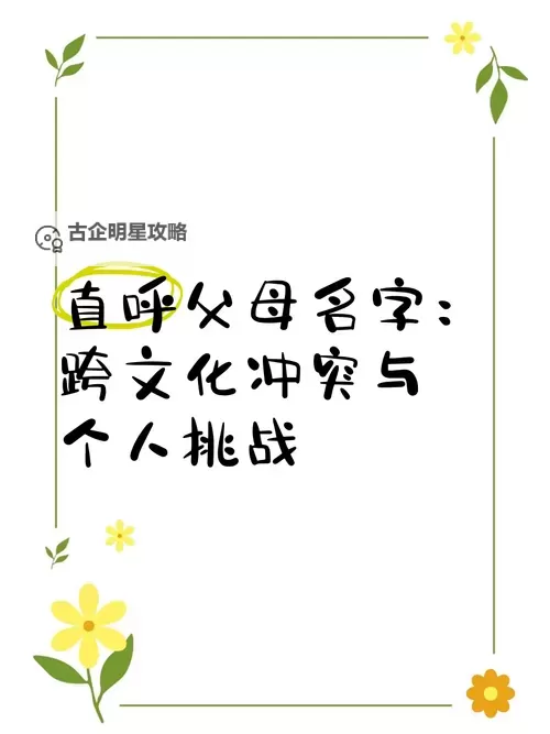 中国妈咪美国爹:跨文化家庭的温情与挑战图1