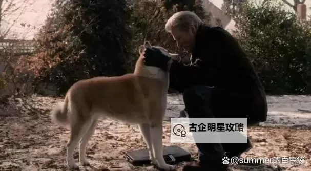 忠犬八公的故事百度影音：感人至深的忠诚传说图1