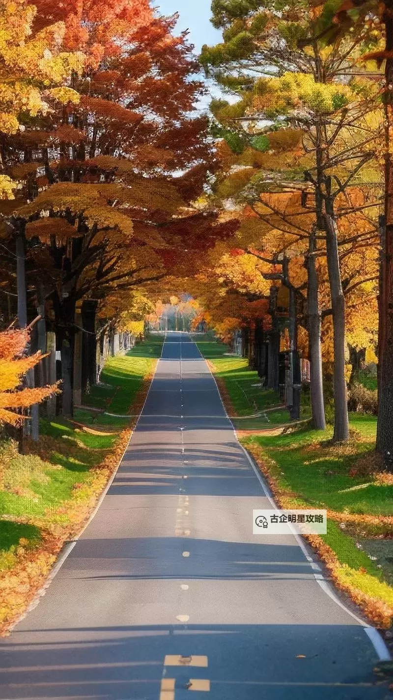 轻松获取：性福宝视频在线下载指南图1