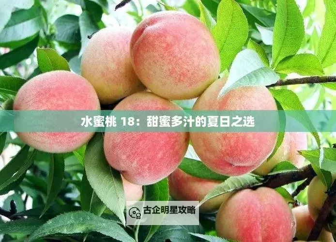 老师的水蜜桃好软好多水：夏日甜蜜的瞬间图2