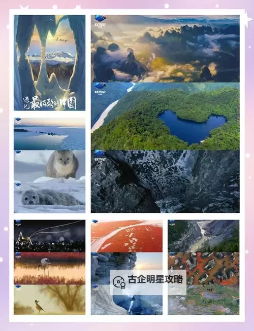 探索极致体验——一本大道精品视频带您领略视觉盛宴图1