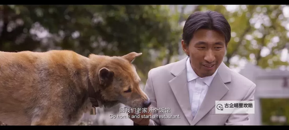 感人至深：《忠犬八公国语版》永恒的忠诚之魂图1