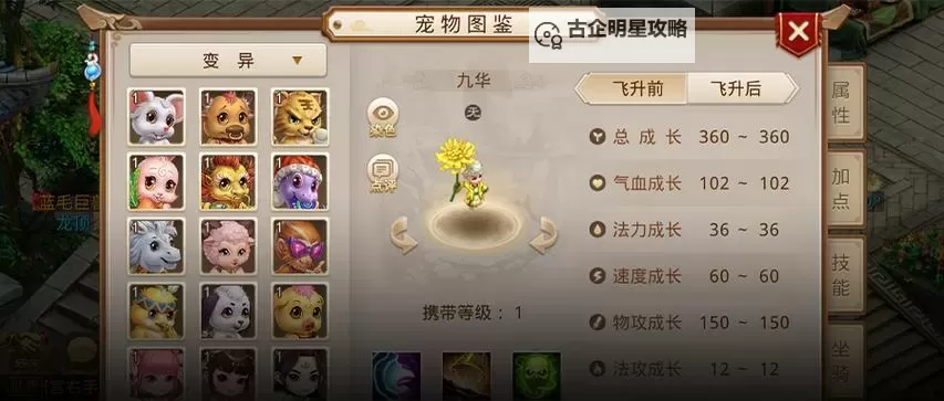 问道手游：体金敏金与法金强力打造全新战斗体验图1