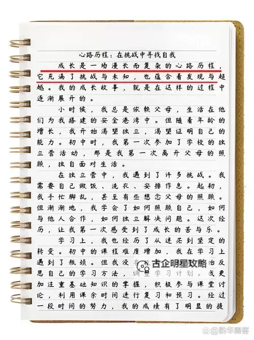 马头退休后日大女儿的简介:她的成长故事与家庭生活概述图1