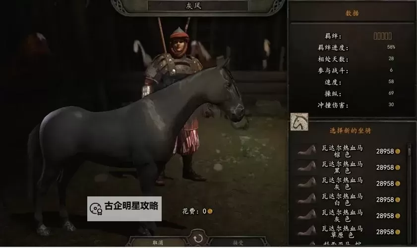 骑砍战团什么马好：选择最佳坐骑指南图2