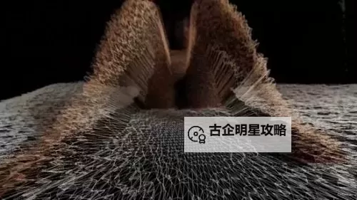 探索高清成人视频体验:www.一品色带你畅享视觉盛宴图1