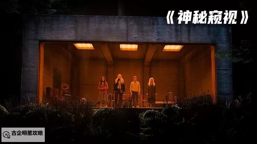 西西大胆午夜视镜:探索夜间隐秘世界的奇异之旅图1