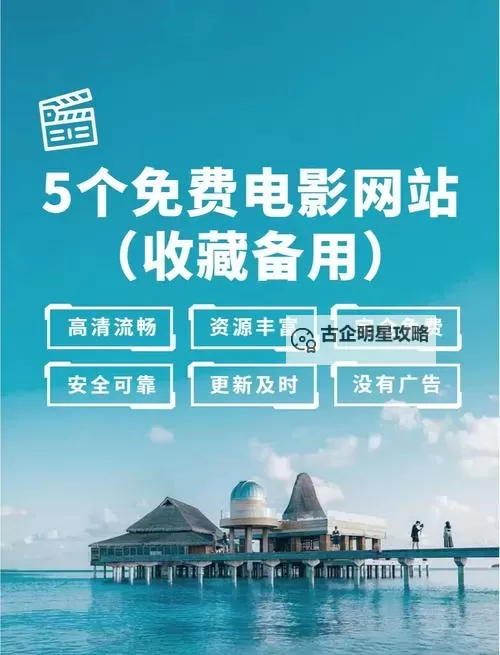 小菊影视logo网站入口在哪？最新入口指南与使用方法图1