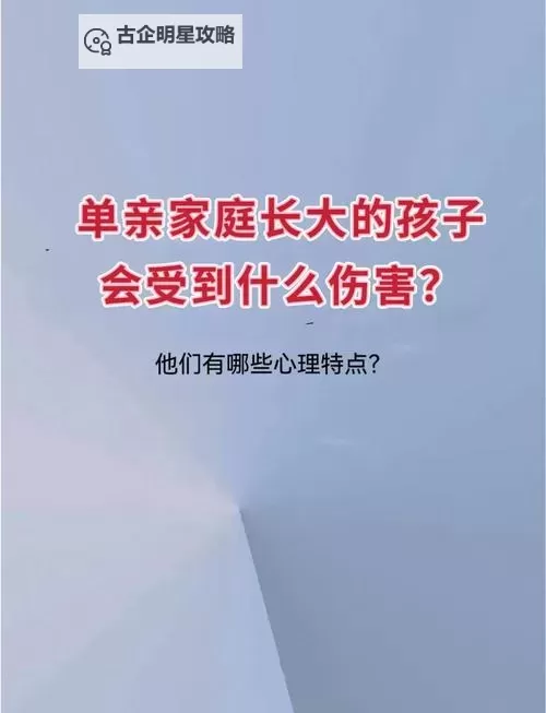 真实的单亲乱:家庭变革中的困境与希望图1