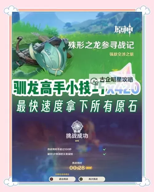 全面攻略：驯龙斗士游戏攻略详解与技巧指南图1