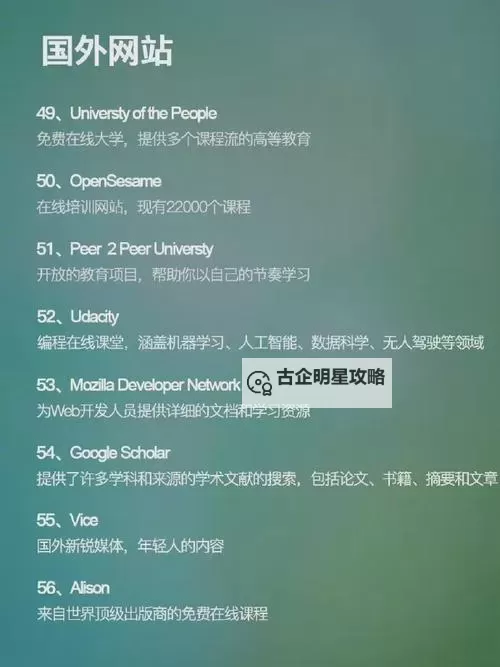 有哪些你可能没发现的“有没有那种网站”?盘点类型多样的平台推荐图1