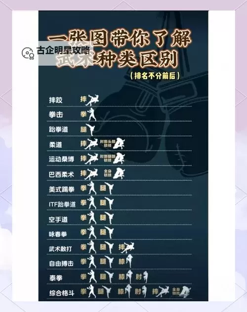 男格斗是什么版本出的解析与介绍图1