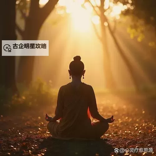 打坐的时候自己抬头：探索内心的宁静与觉醒图1