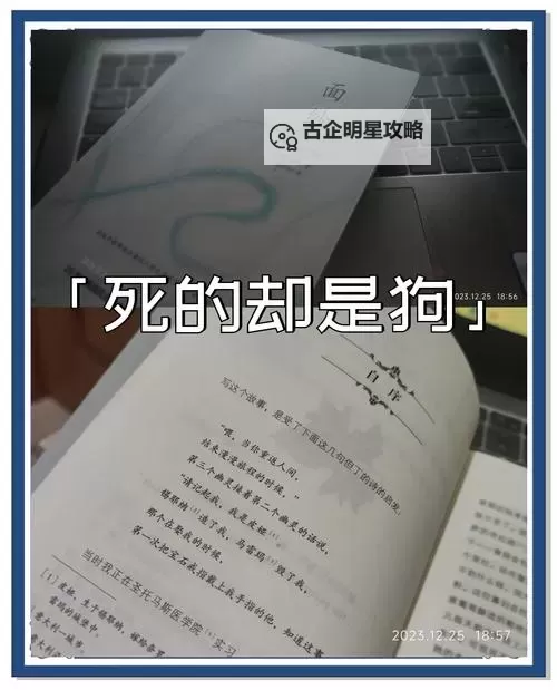 寄生前夜2狗死了:悲剧背后的深层寓意图1