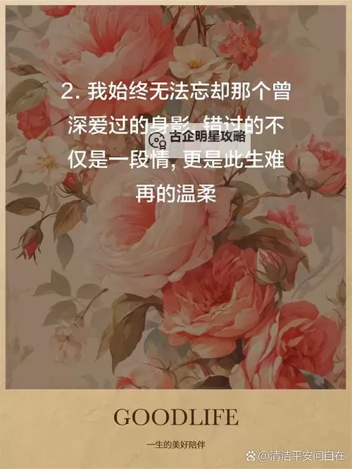 深深插入心底的回忆图1