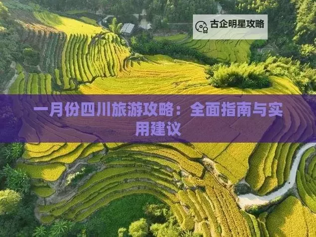 探索2024年最新资源：最新版天堂网全面指南图1