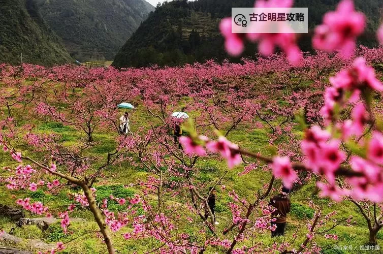 宝月风鉴之初入桃花源:探寻世外桃源的奇幻之旅图1