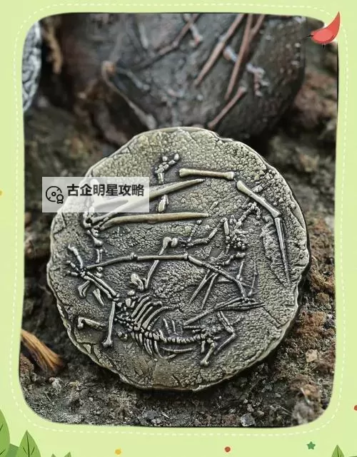 化石翼龙进化石：揭示远古飞行生物的神秘演变图1