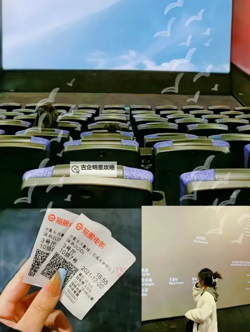 探索中卫电影院的魅力:畅享影视盛宴的新体验图1