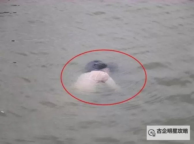 浴室少女自杀二十天:未解的悲剧与心理阴影图1