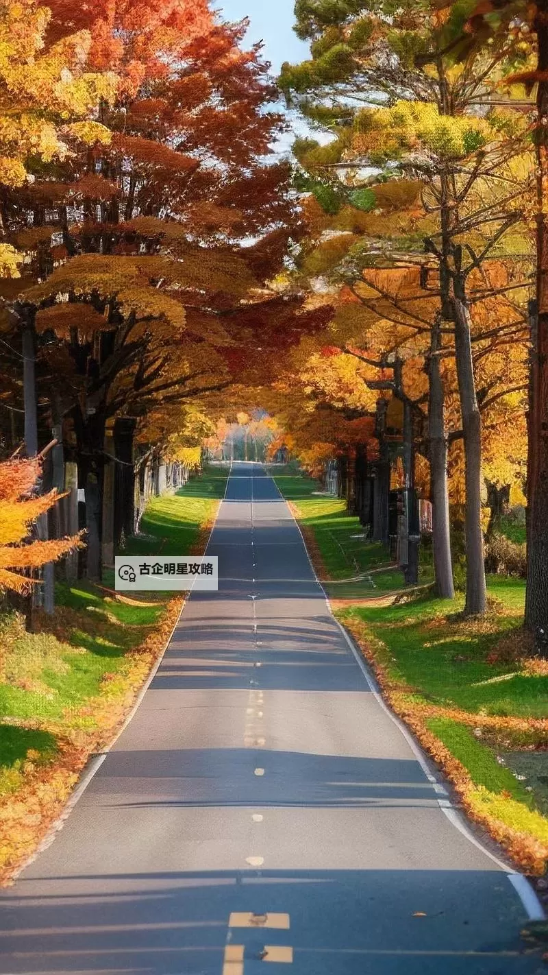 雷霆咆哮为什么改名：背后故事与原因分析图1