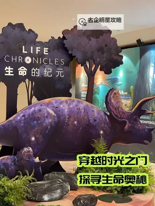 穿越时空：我如何撞进妈妈的生命之门图1