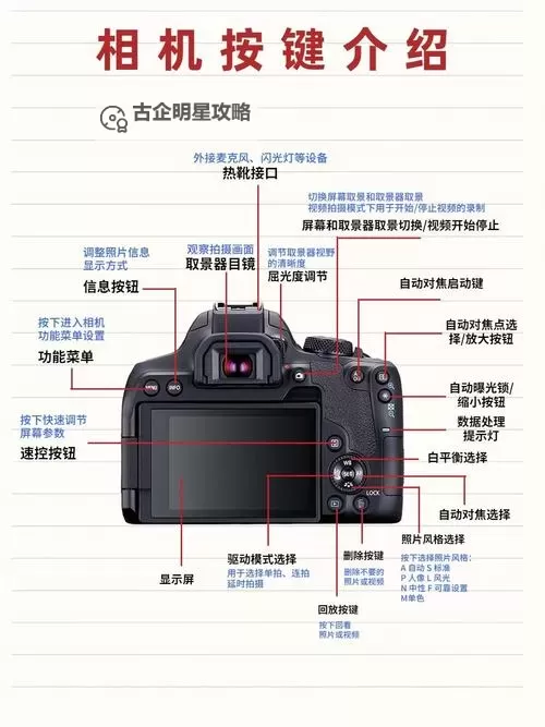 自W到高C的50种图片教程视频：全面提升摄影技巧的实用指南图1