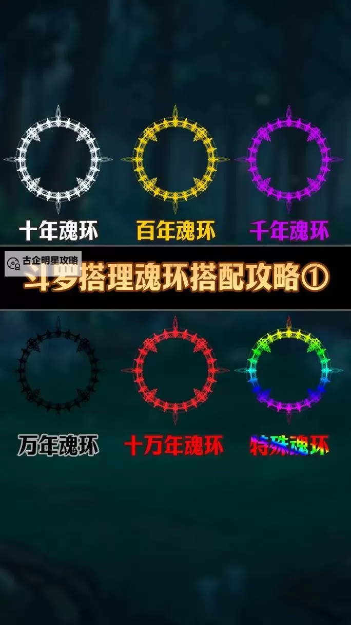 十个魂环是什么级别:揭秘魂环等级的详细解析图1
