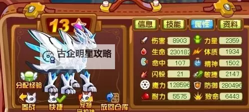 龙斗士宠物大全图片全收录,最全宠物攻略一览图2