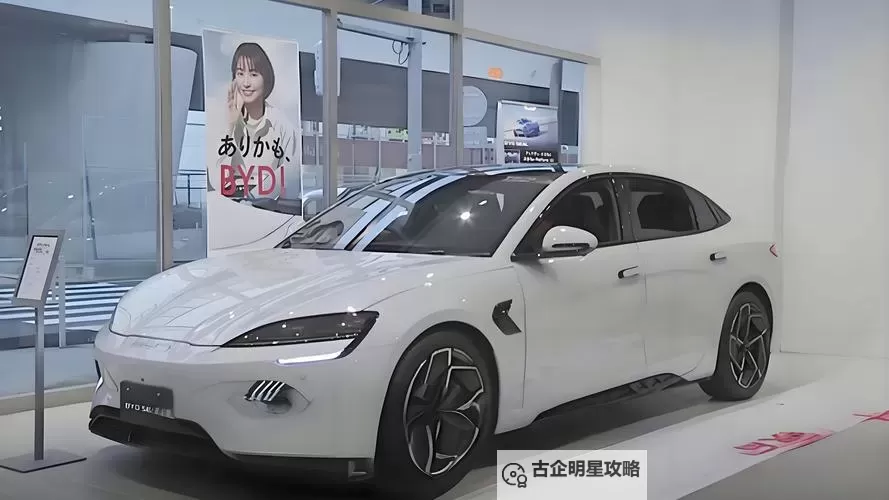 8x8x海外华人永久：全面解析更新时间88x的最新动态图2