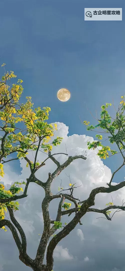 快穿之黄色小说:穿越世界的另类精彩冒险图1